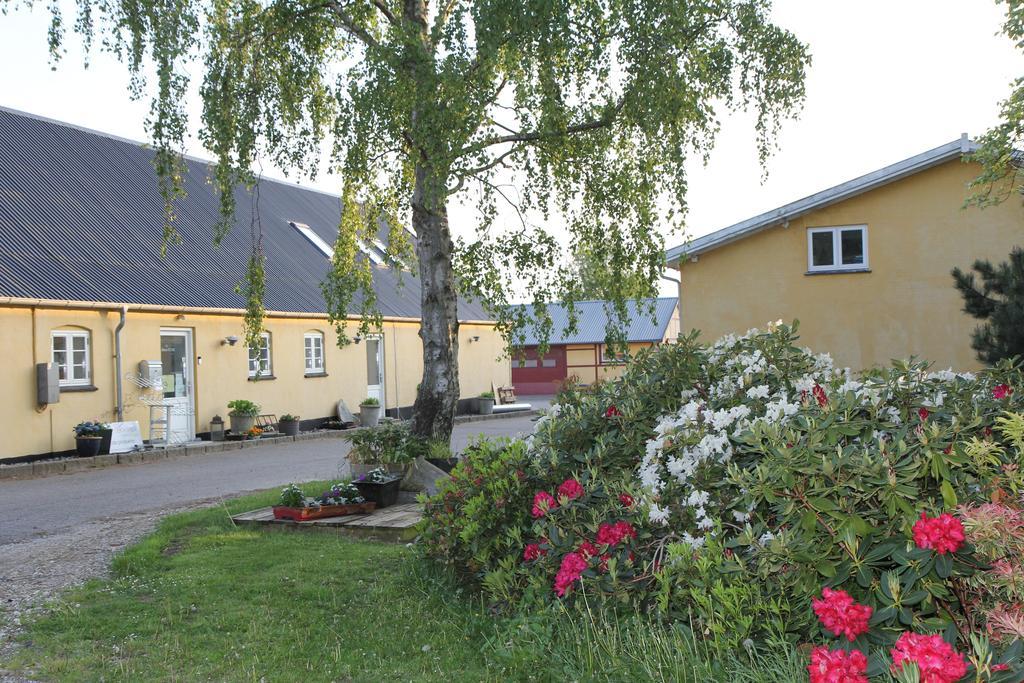 Strandsegard Ferielejlighed Olsted Exterior photo