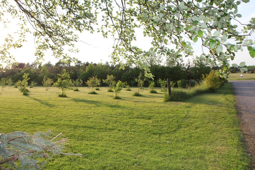 Strandsegard Ferielejlighed Olsted Exterior photo