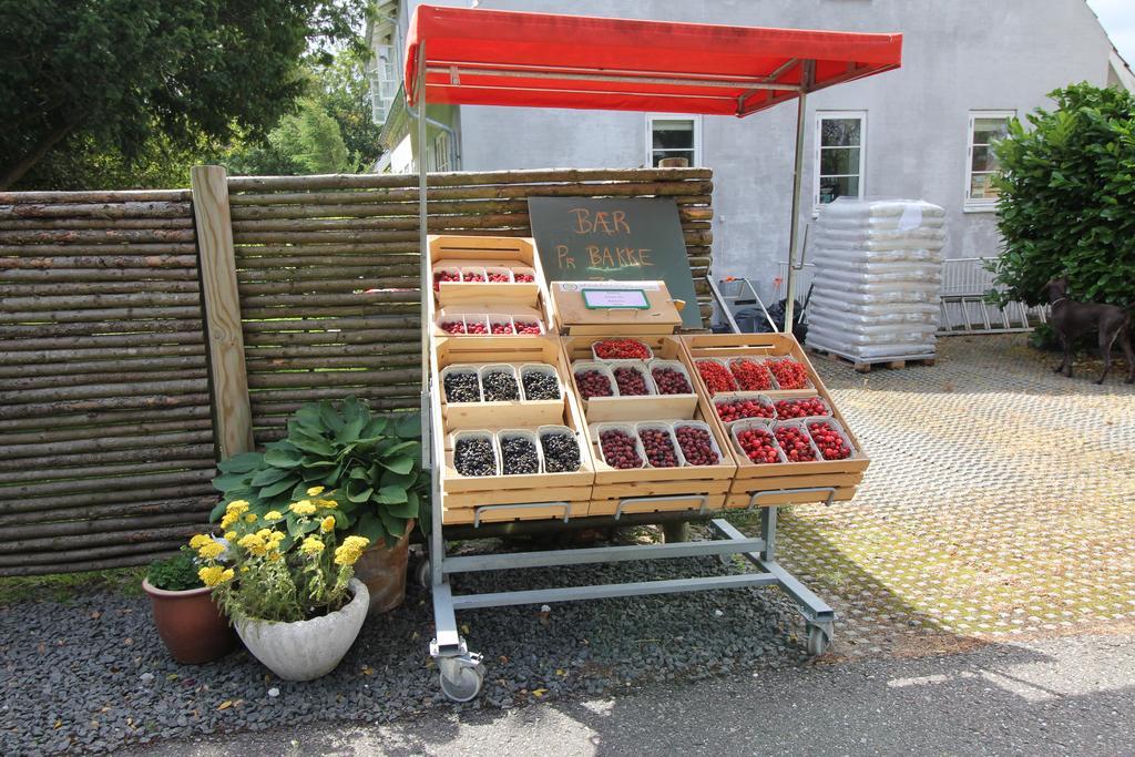 Strandsegard Ferielejlighed Olsted Exterior photo